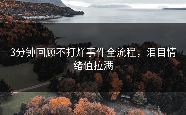 3分钟回顾不打烊事件全流程，泪目情绪值拉满