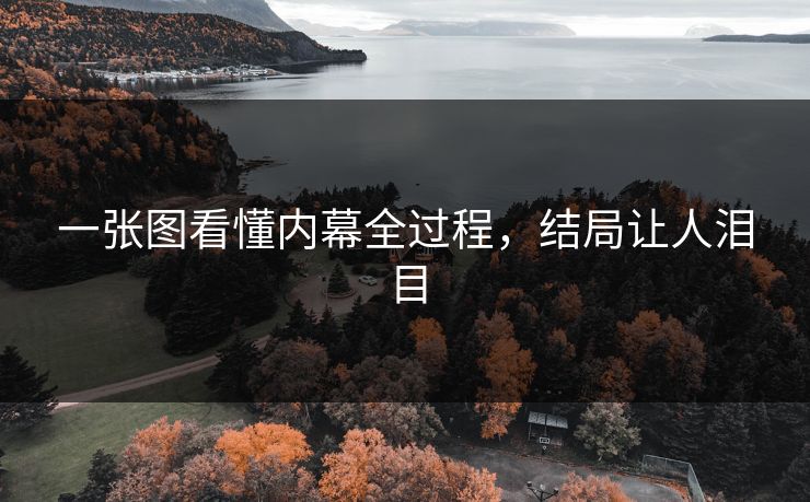 一张图看懂内幕全过程，结局让人泪目