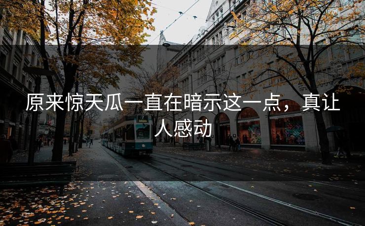 原来惊天瓜一直在暗示这一点，真让人感动