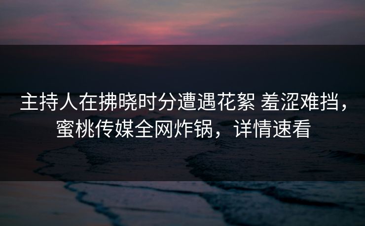 主持人在拂晓时分遭遇花絮 羞涩难挡，蜜桃传媒全网炸锅，详情速看