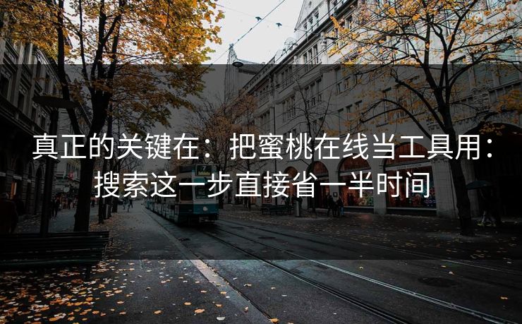 真正的关键在：把蜜桃在线当工具用：搜索这一步直接省一半时间